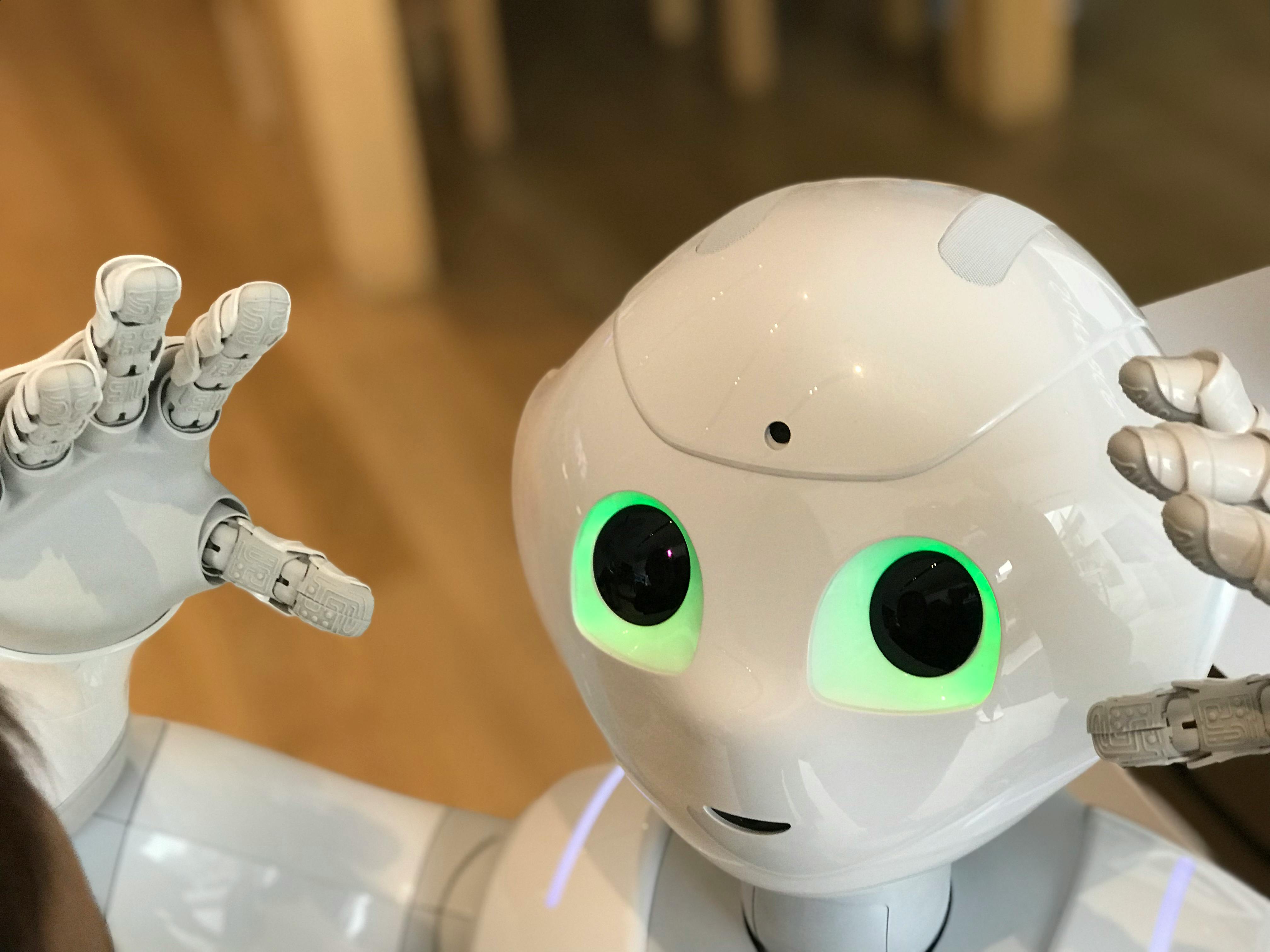 The ML Democratization Paradox